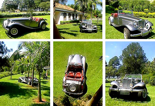 Galeria